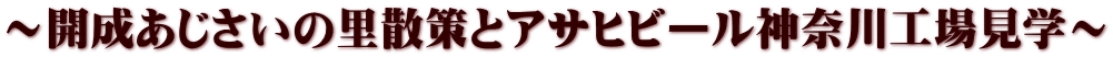 ～開成あじさいの里散策とアサヒビール神奈川工場見学～