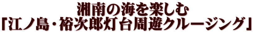 　　　　　湘南の海を楽しむ 「江ノ島・裕次郎灯台周遊クルージング」