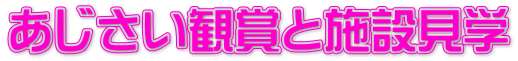 あじさい観賞と施設見学